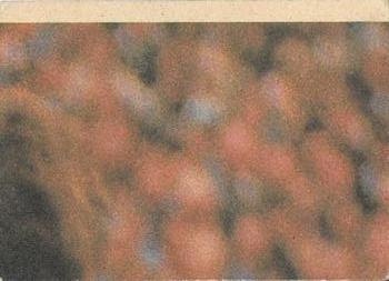 1980 Scanlens VFL #9 Barry Breen Back